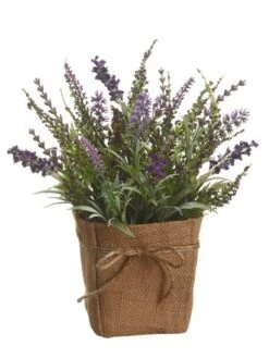 12″ Lavender In Burlap Pot Violet