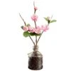 10″ Plum Blossom In Glass Vase Cerise