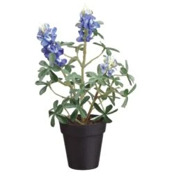 10″ Bluebonnet In Plastic Pot Blue