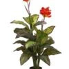 48″ Canna Plant In Pot Red