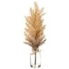 16.5″ Pampas Grass In GlassVaseBeige