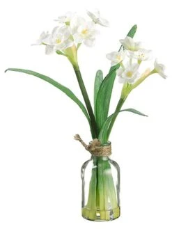 11″ Narcissus In Glass Vase White