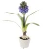12″ Hyacinth With Bulb In Mgo Pot Blue