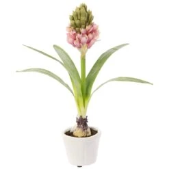 12″ Hyacinth With Bulb In Mgo Pot Pink