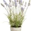 15.5″ Lavender In Paper Mache Pot Lavender