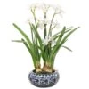 22″ Narcissus In Ceramic Vase White