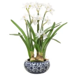 22″ Narcissus In Ceramic Vase White