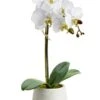 16″ Phalaenopsis Orchid Plant With 7 Flowers And 3 Buds In Cement Pot White