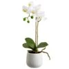 15″ Phalaenopsis Orchid Plant in Ceramic Pot White