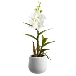 15″ Dendrobium Orchid Plant in Ceramic Pot White