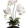 31″ Phalaenopsis Orchid Plant In Ceramic Pot White
