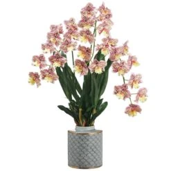 34″ Odontoglossom OrchidPlant In Ceramic VaseBoysenberry Yellow