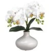 12″ Phalaenopsis Orchid Plant in Ceramic Vase White