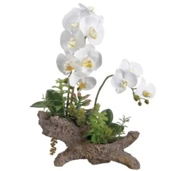 21″ Phalaenopsis Orchid/ Succulent In Cement Log White Green