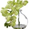 10″ Phalaenopsis Orchid In Glass Vase Green