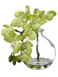 10″ Phalaenopsis Orchid In Glass Vase Green