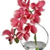 10″ Phalaenopsis Orchid In Glass Vase Pink