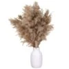 18″ Pampas Grass In Wood Container Brown
