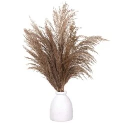 20.5″ Pampas Grass In Wood Container Brown