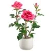 16.1″ Rose In Ceramic Vase Rose