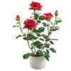 21.6″ Rose In Ceramic Vase Red