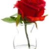 6″ Rose In Glass Vase Red