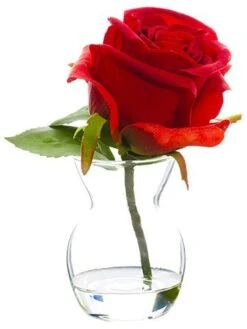 6″ Rose In Glass Vase Red