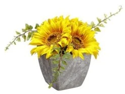 4.25″ Sunflower In Paper Mache Pot Yellow