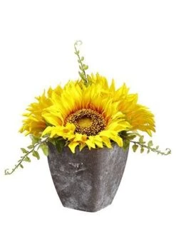 6.5″ Sunflower In Paper Mache Pot Yellow