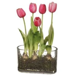 13″ Tulip In Glass Vase With Bulb Pink