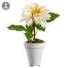 9.5″ Dahlia In Clay Pot Ivory