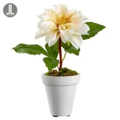 9.5″ Dahlia In Clay Pot Ivory