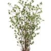 60″ Mini Leaf Plant In Pot Green