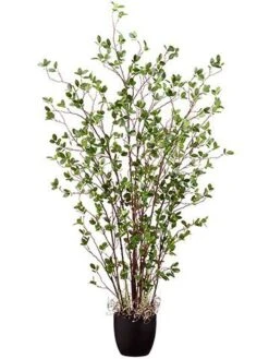 60″ Mini Leaf Plant In Pot Green