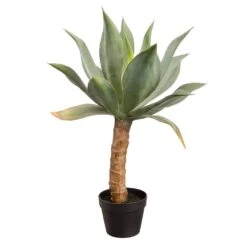 32″ Agave In Plastic Nursery Pot Green