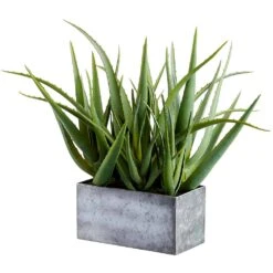 16″ Agave In Metal Pot Green