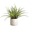 21″ Aloe Plant In Cement Pot Green