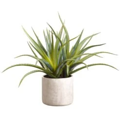 21″ Aloe Plant In Cement Pot Green