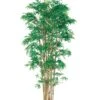 6′ Japanese Bamboo Tree X15 with 3360 Leaves In Pot Two Tone Green