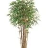 7′ Natural Trunk Bamboo Tree x17 With 2560 Leaves In Pot Two Tone Green