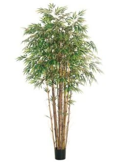 7′ Natural Trunk Bamboo Tree x17 With 2560 Leaves In Pot Two Tone Green