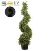 46″ Battery Operated UV Protected Boxwood Spiral 70 Led Lights In Pot Green