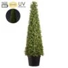 48″ Battery Operated UV Protected Boxwood Cone Topiary 50 Led Lights In Pot G