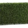 24″H X 7″W X 36″L Boxwood Hedge Two Tone Green