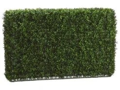 24″H X 7″W X 36″L Boxwood Hedge Two Tone Green