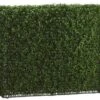 33″H X 8″W X 39″L Boxwood Hedge Two Tone Green
