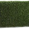 36″H X 9″W X 46″L Boxwood Hedge Two Tone Green