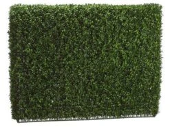 36″H X 9″W X 46″L Boxwood Hedge Two Tone Green
