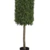 50″ Rectangular Boxwood Topiary In Plastic Pot Two Tone Green