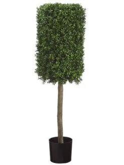 50″ Rectangular Boxwood Topiary In Plastic Pot Two Tone Green